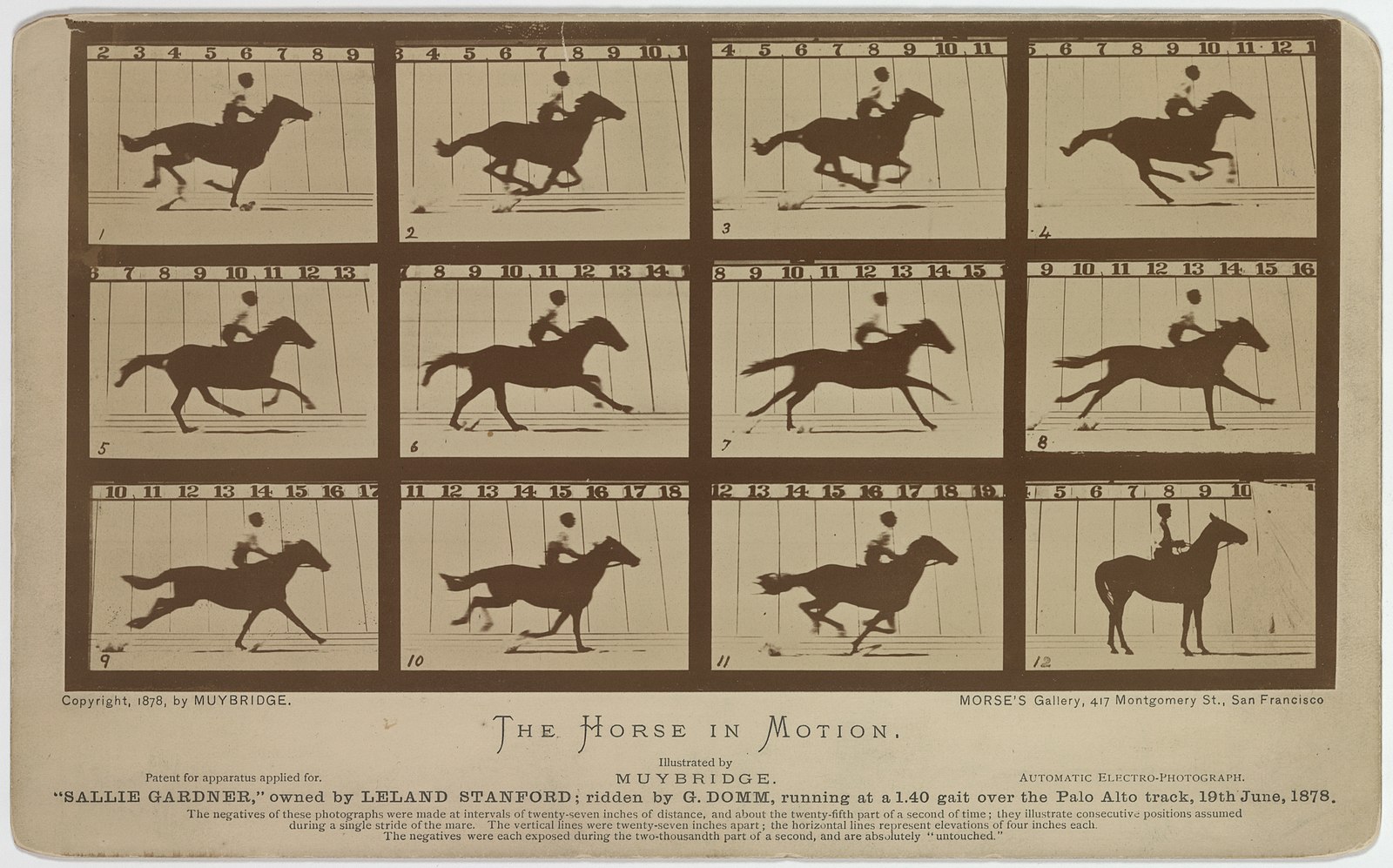 Edouard Muybridge